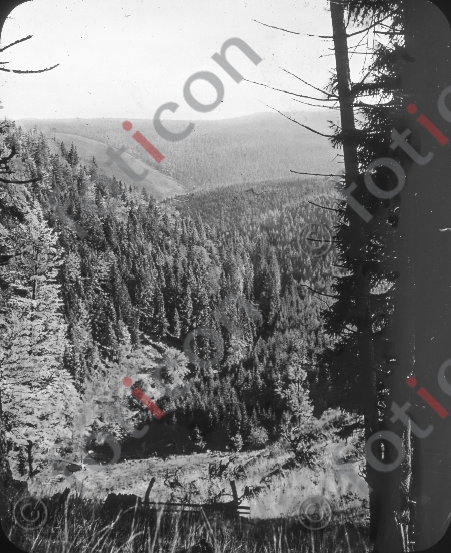 Über die Wälder I Above the woods - Foto foticon-simon-168-027-sw.jpg | foticon.de - Bilddatenbank für Motive aus Geschichte und Kultur
